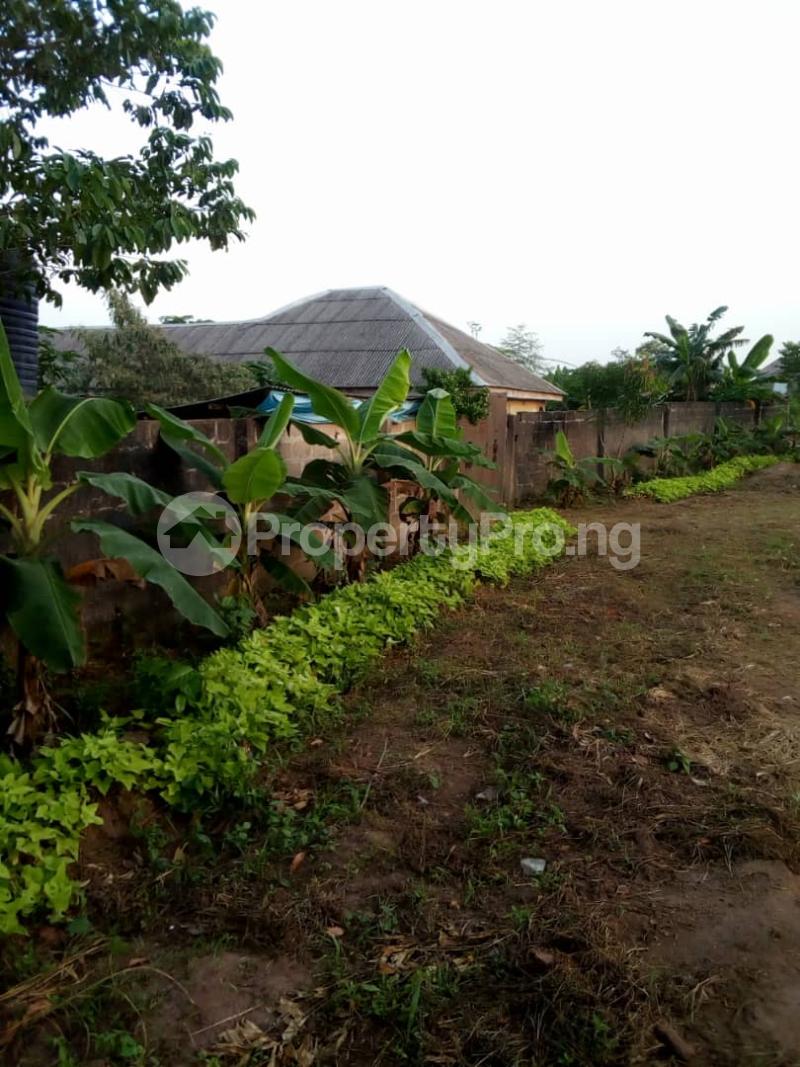 5 bedroom Land for sale Immaculate Estate Ph. 1 Ikorodu Ikorodu Lagos