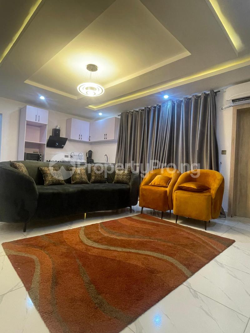 2 bedroom Flat / Apartment for rent Ikate Lekki Lagos