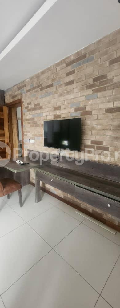 1 bedroom Flat / Apartment for rent Admiralty Way Lekki Phase 1 Lagos State. Lekki Phase 1 Lekki Lagos - 12