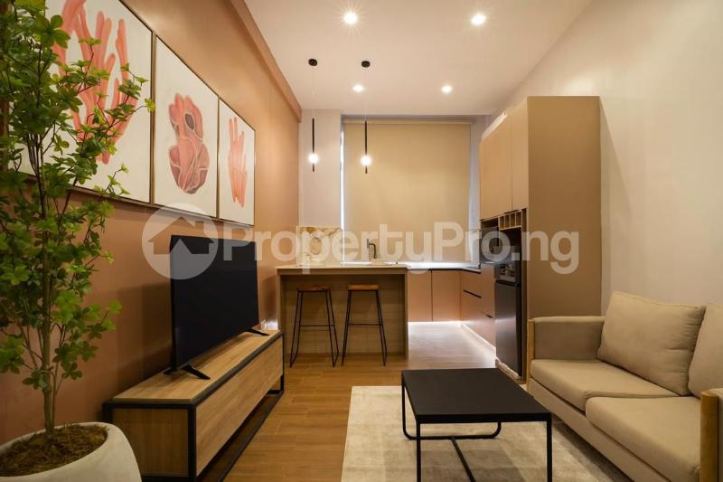 1 bedroom Flat / Apartment for rent ONIRU Victoria Island Lagos