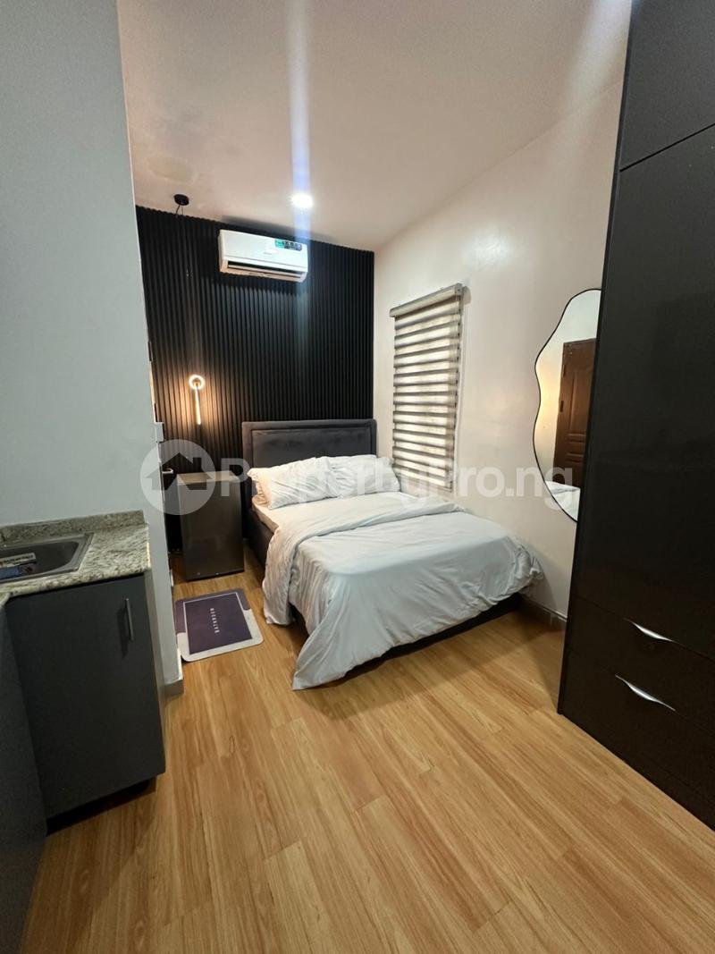 1 bedroom Flat / Apartment for rent Ikate Lekki Lagos