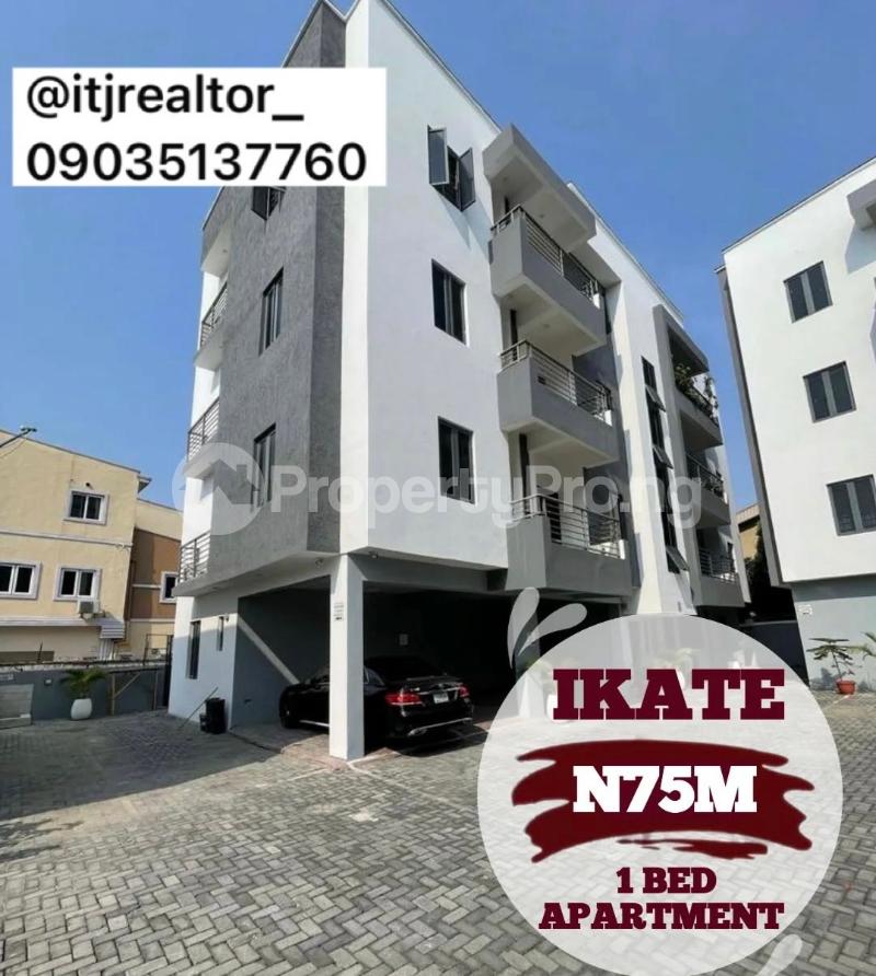 1 bedroom House for sale Ikate Lekki Lagos