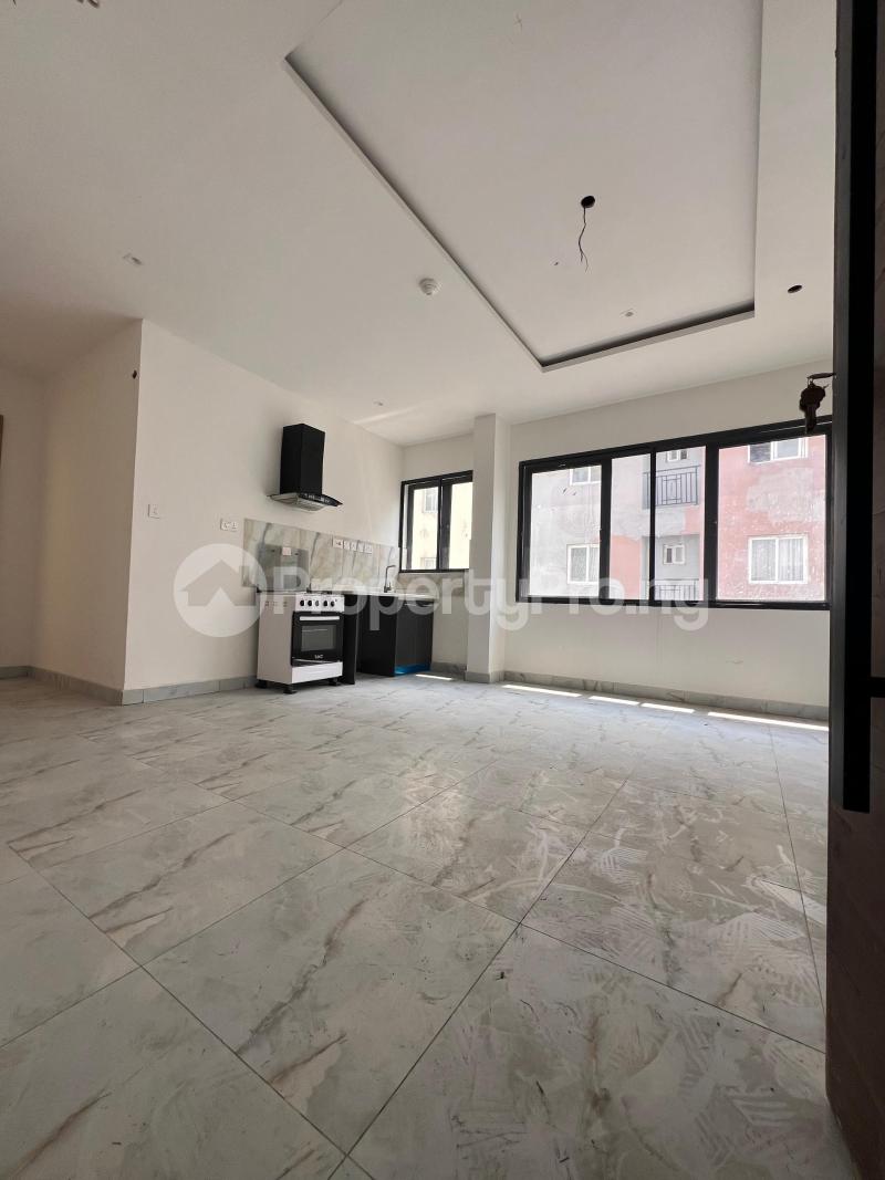1 bedroom Flat / Apartment for rent Ikate Lekki Lagos
