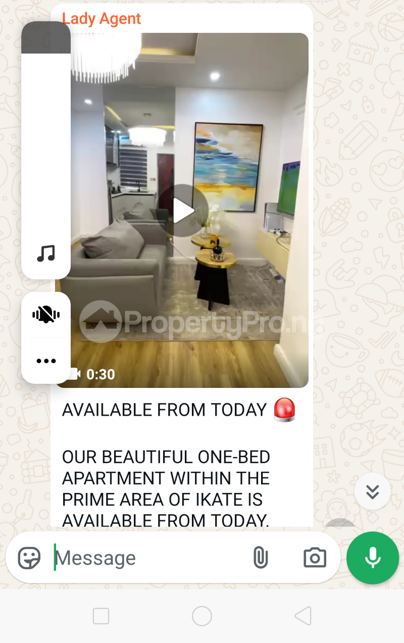 1 bedroom Flat / Apartment for shortlet Prime Area Ikate Ikate Lekki Lagos