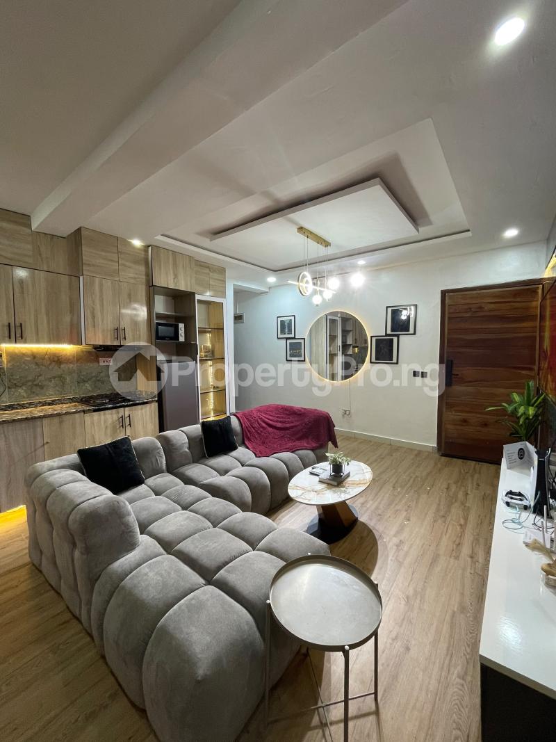 1 bedroom Flat / Apartment for rent Ikate Lekki Lagos