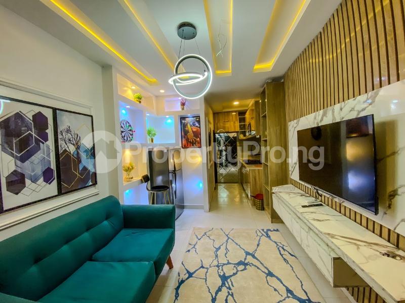 1 bedroom Flat / Apartment for rent Ologolo Lekki Lagos