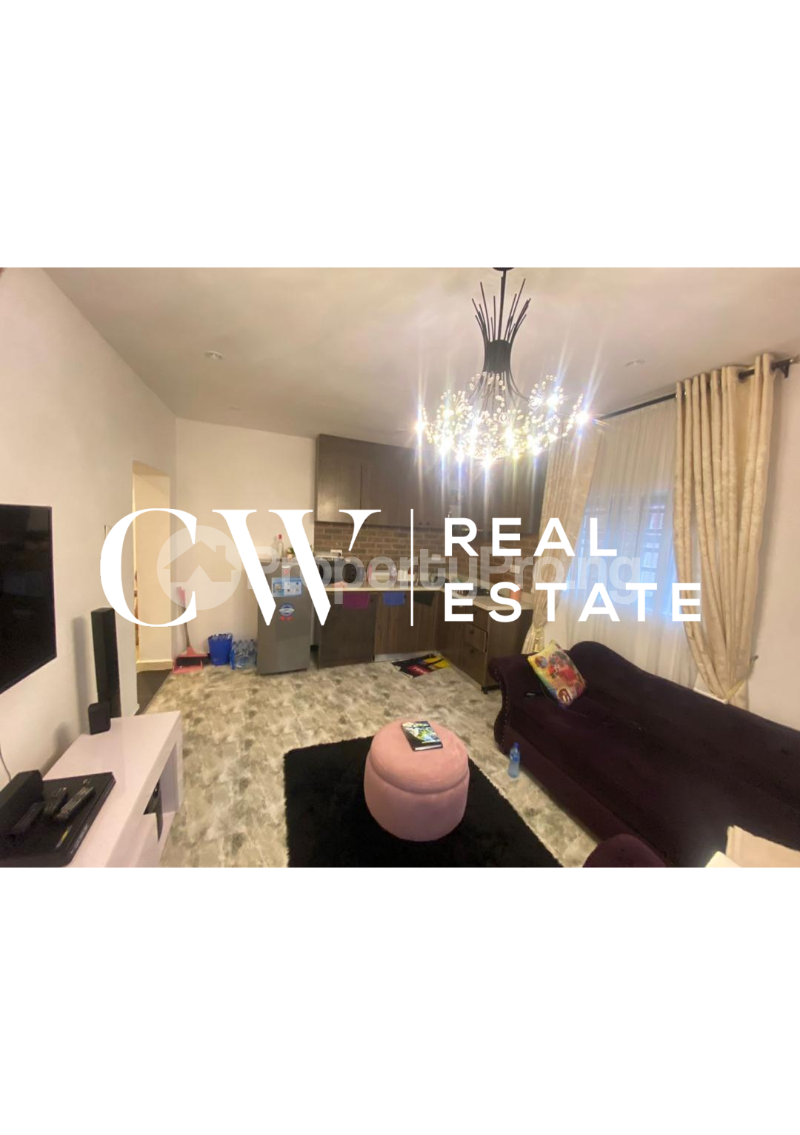 2 bedroom Flat / Apartment for rent Ikoyi Lagos - 0