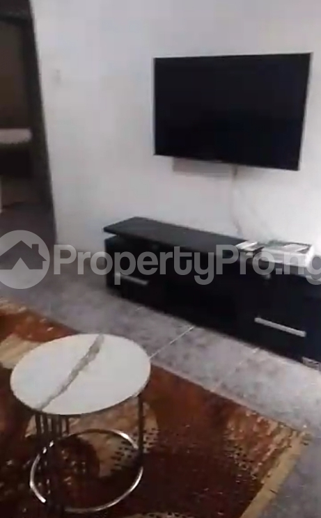 2 bedroom Flat / Apartment for rent Asokoro Asokoro Abuja