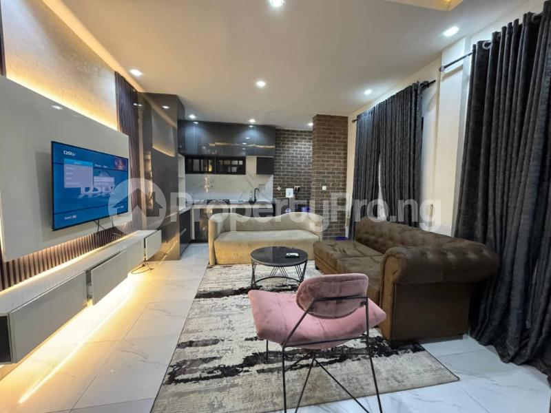 1 bedroom Flat / Apartment for rent Johnson Omorinre Lekki Phase 1 Lekki Lagos