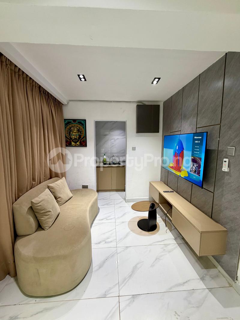 1 bedroom Flat / Apartment for rent Victoria Island Lagos