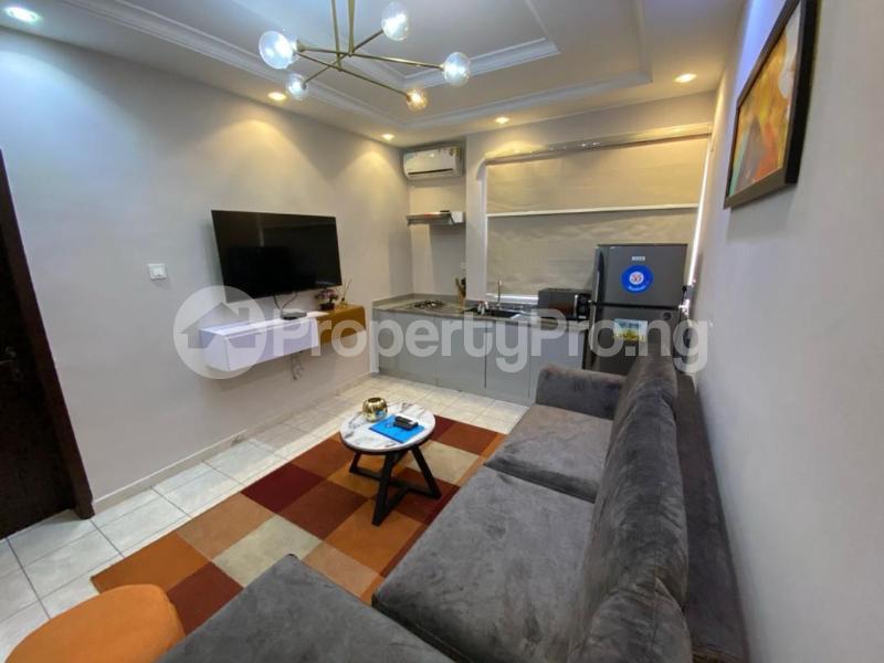 1 bedroom Flat / Apartment for rent Lekki Phase 1 Lekki Lagos