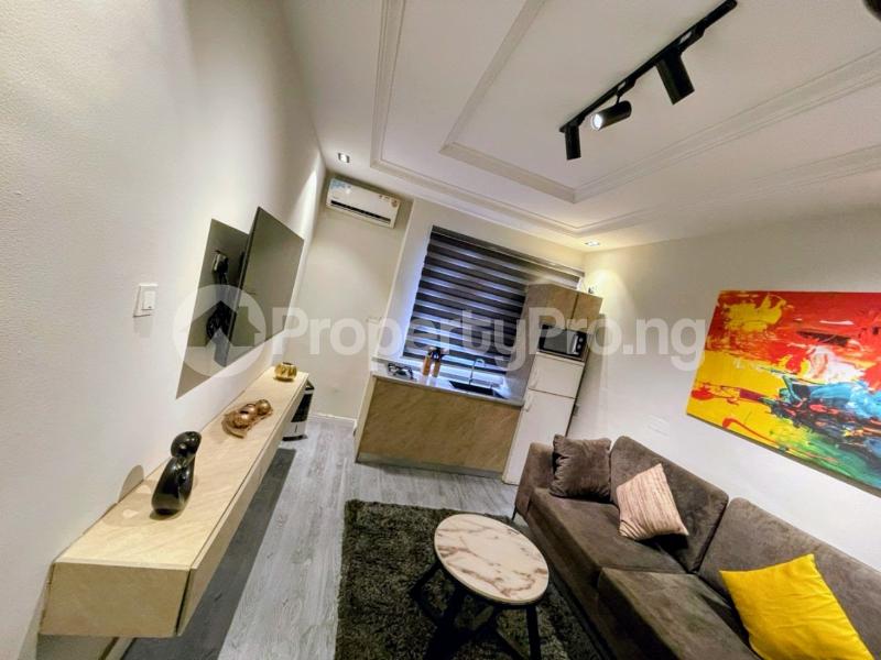 1 bedroom Flat / Apartment for rent Osborne Foreshore Estate Ikoyi Lagos
