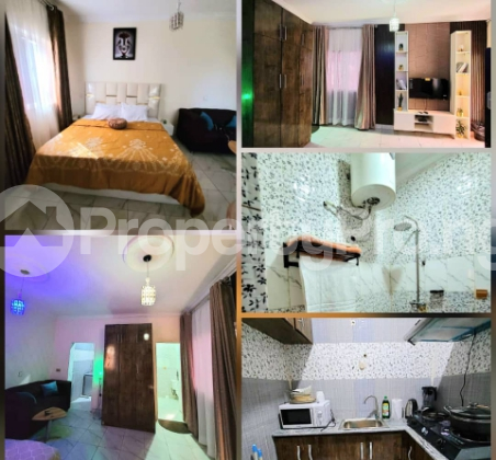 Flat / Apartment for rent Asokoro Abuja