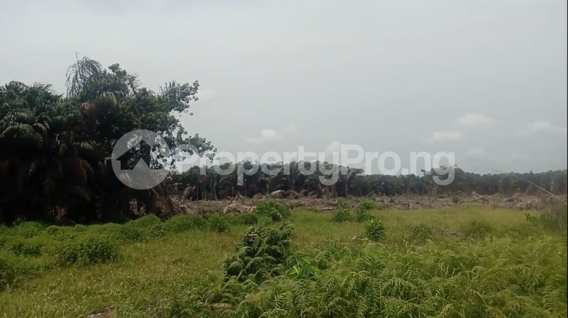 Land for sale Eleko Ibeju-Lekki Lagos