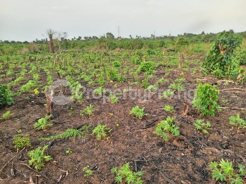 Land for sale Genuine 500sqm Land Along Igbodu Road Isiwo, Epe Lagos
