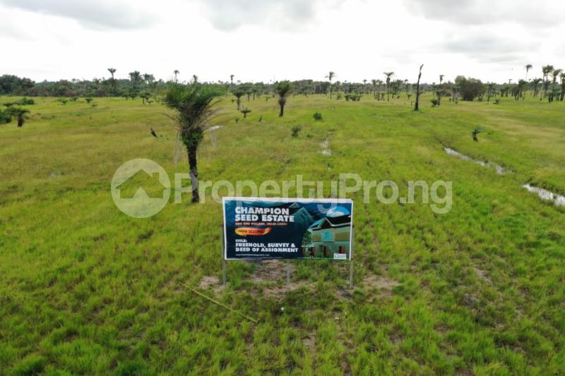 Land for sale Ode Omi, Champion Seed Estate LaCampaigne Tropicana Ibeju-Lekki Lagos - 4