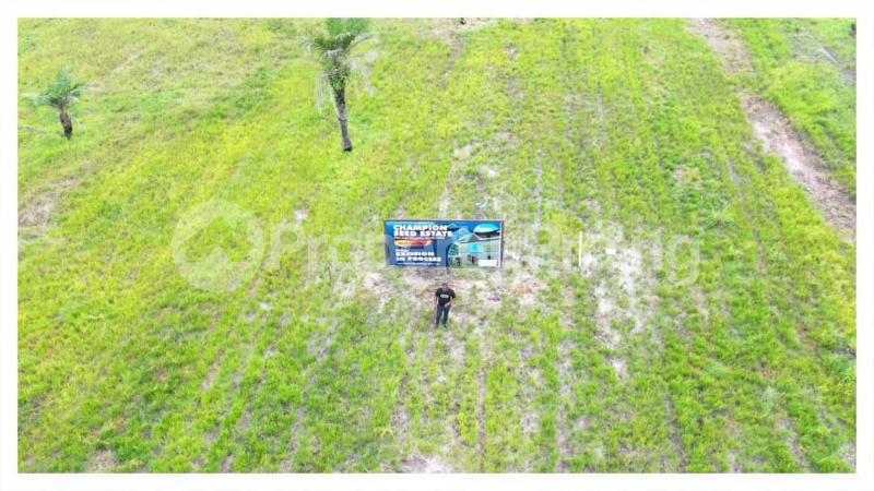 Land for sale Ode Omi, Champion Seed Estate LaCampaigne Tropicana Ibeju-Lekki Lagos