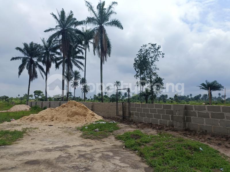 Land in Port Harcourt Rivers Land for sale in portharcourt Land in