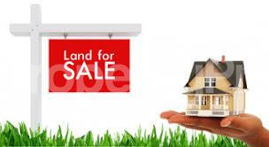 Land for sale Golden City Estate,agbowa Ikorodu,lagos.nigeria Ikorodu Ikorodu Lagos - 1