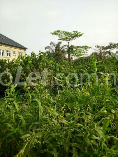 Land for sale Idimu Ejigbo Estate. Lagos Mainland Idimu Egbe/Idimu Lagos - 0