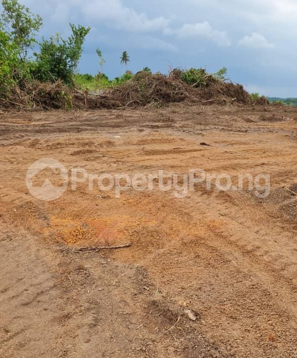 Land for sale Odo Irangushi Epe Lagos