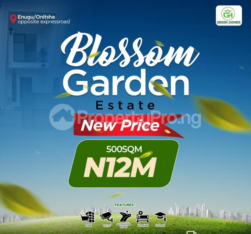 Land for sale Prime Land With Government Allocation Facing Enugu/onitsha Expressway Enugu Enugu