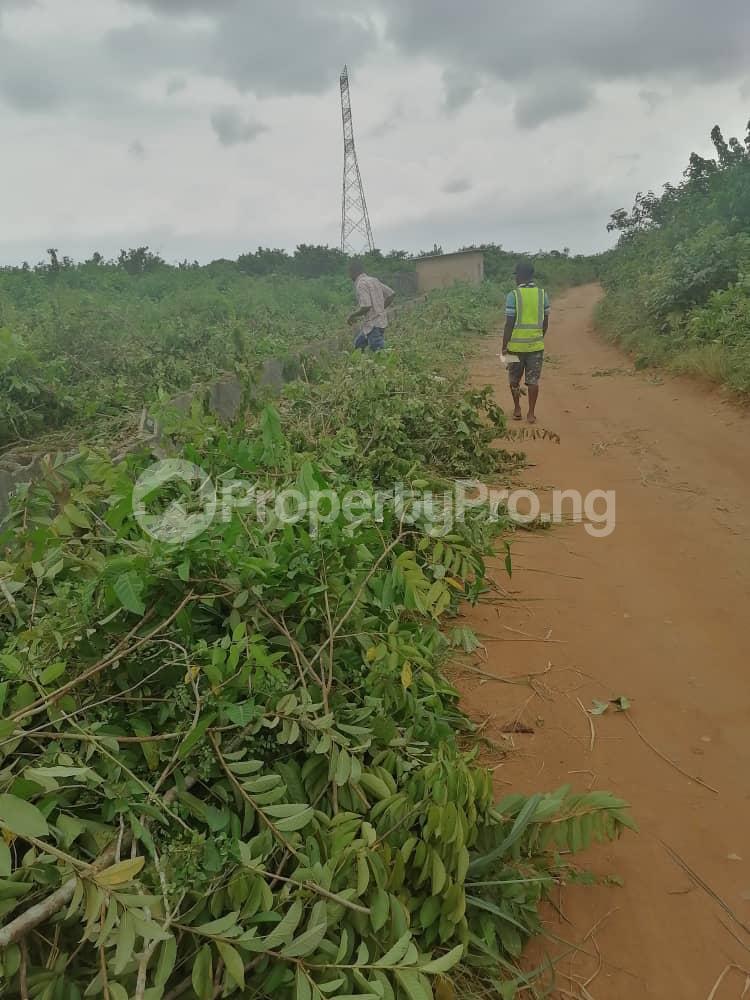 Land for sale Odo Egiri Epe 5 Mins Drive To Alaro City Epe Road Epe Lagos - 0