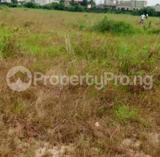 Land for sale Dangote Reginery Road Free Trade Zone Ibeju-Lekki Lagos