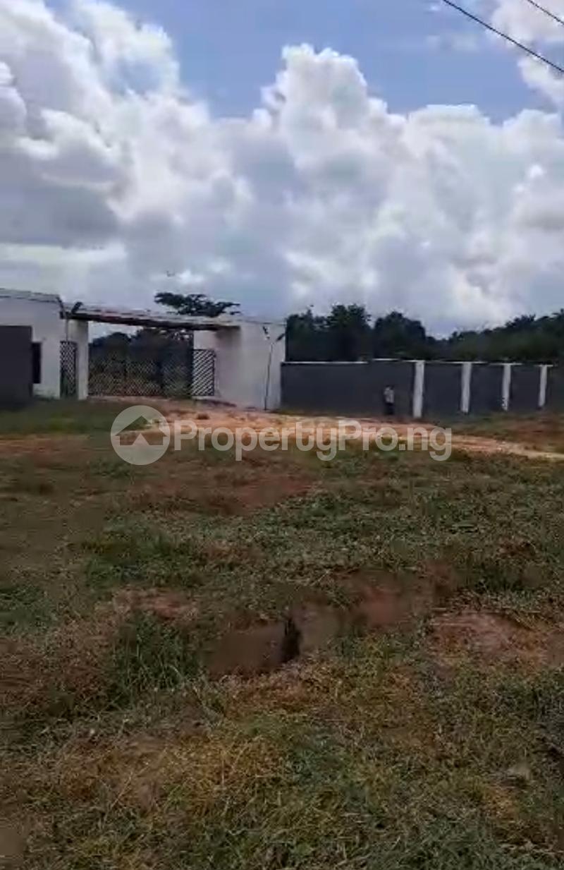 Land for sale Akwuigbo Town Otolu Aniocha South Delta