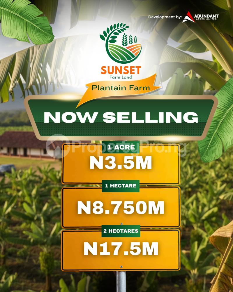 Land for sale Odeda Ogun - 0