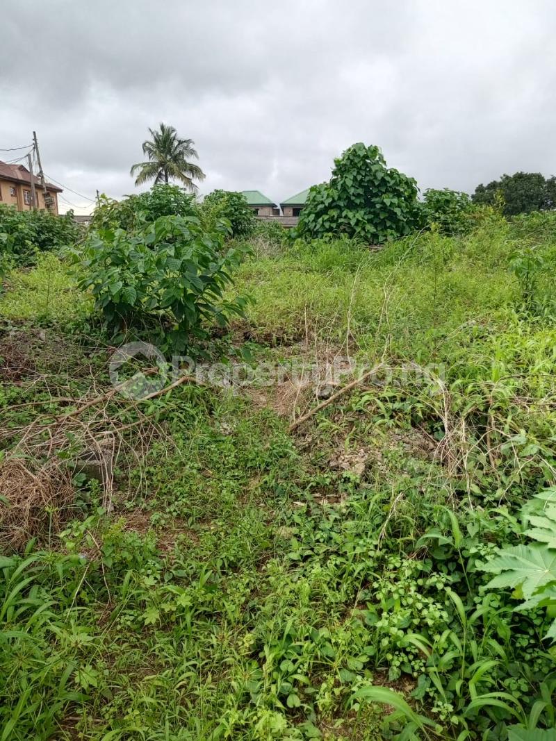 Land for sale Off Olaniyi Street New oko oba Abule Egba Lagos