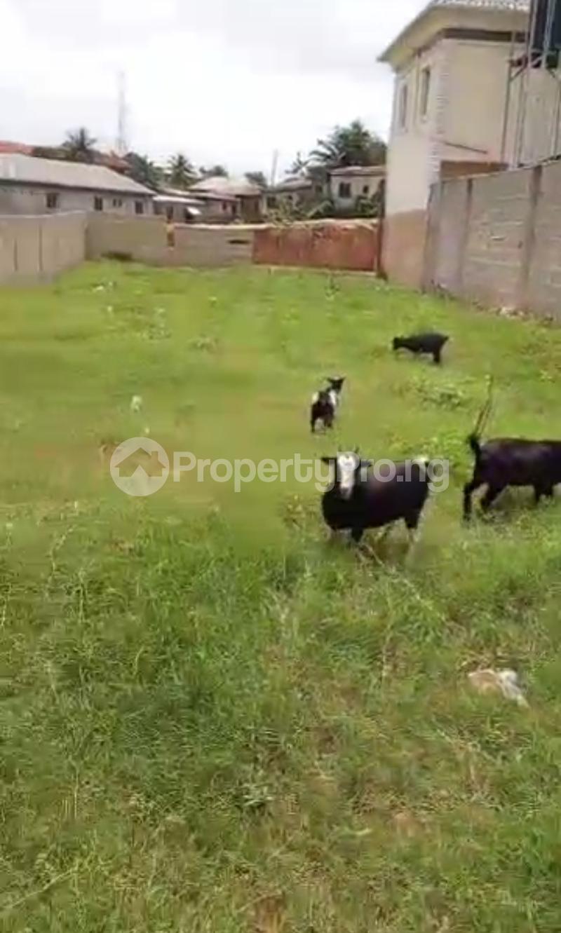 Land for sale Odo Eran Governors road Ikotun/Igando Lagos - 0
