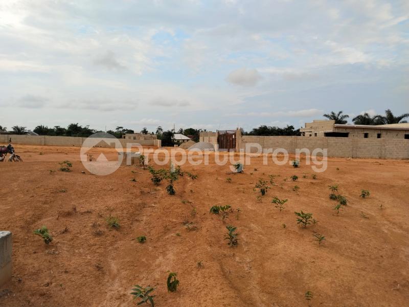 Land for sale Ofin Igbogbo Ikorodu Lagos - 3