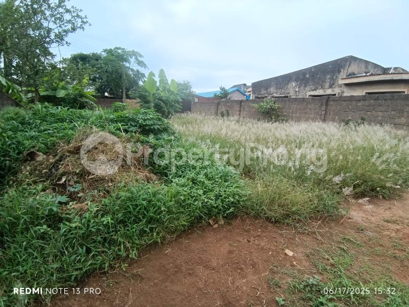 Land for sale Megida Ayobo Lagos Ayobo Ipaja Lagos - 4
