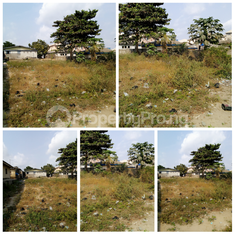 Land for sale Iyanera, Alaba International Agbara Axis Okokomaiko Ojo Lagos - 0