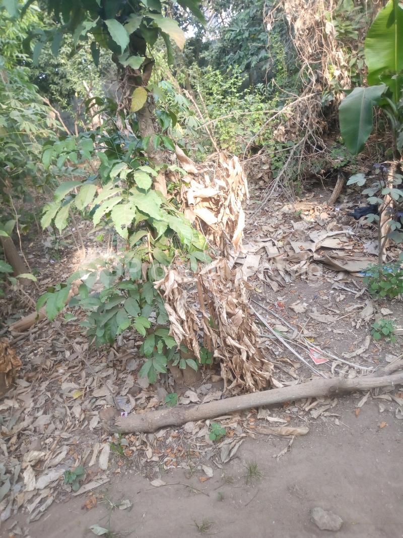 Land for sale 5,alhaji Davies Street Agbado Ifo Ogun