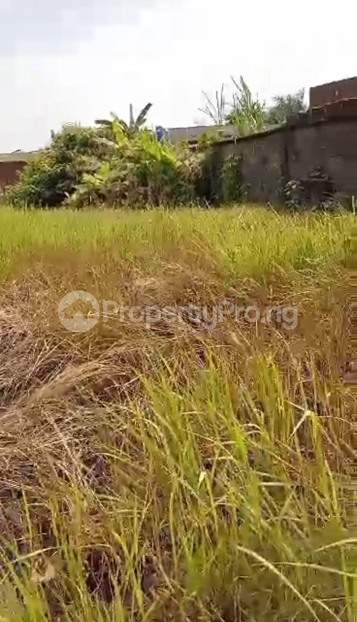 Land for sale Ijegun Ikotun/Igando Lagos - 0