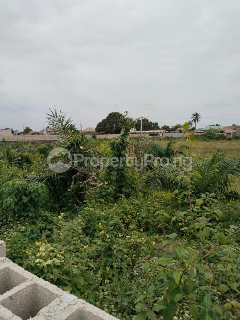 Land for sale Macaulay, Igbogbo Ikorodu Lagos - 0