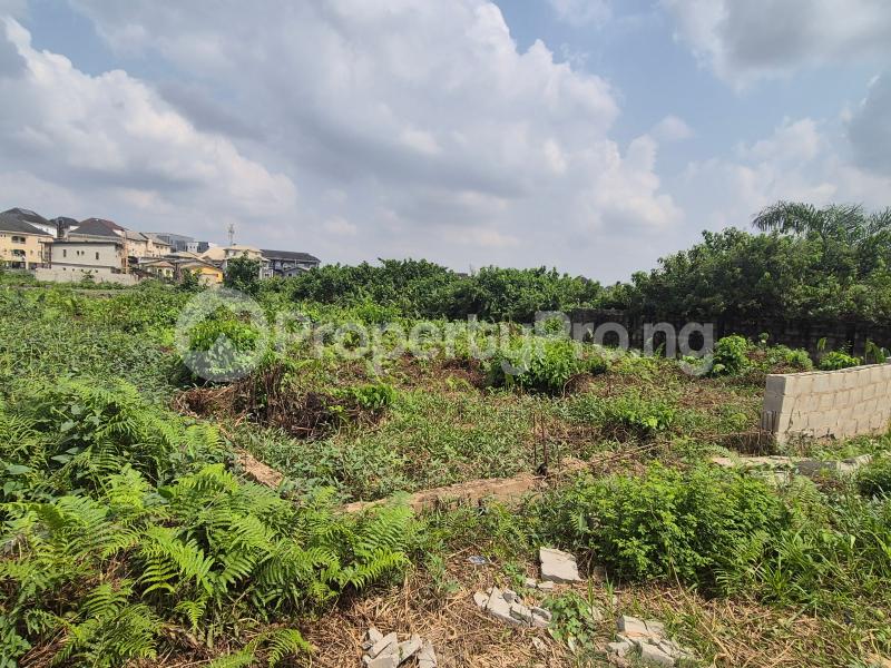 Land for sale Beside Unilag Estate By Ayodeji Bus Stop Magodo Phase 1 Kosofe/Ikosi Lagos