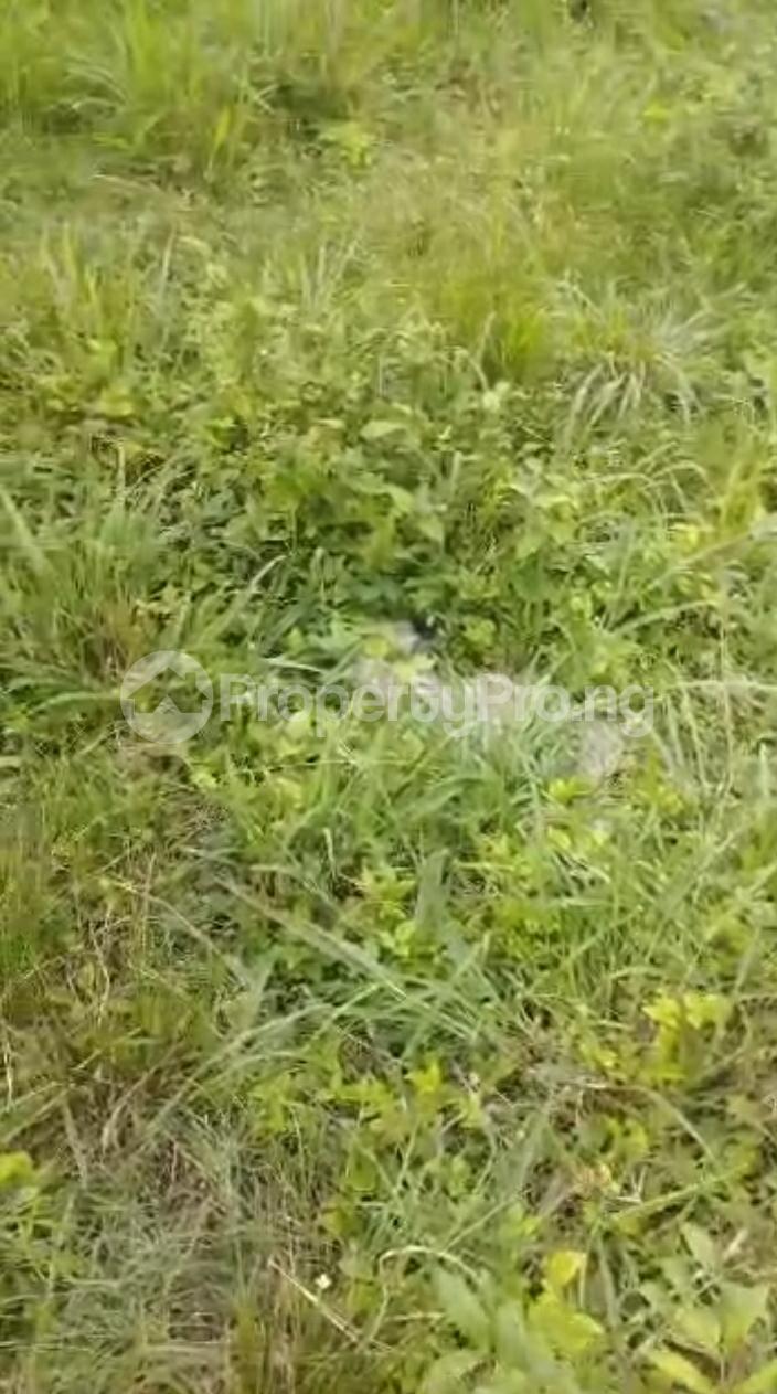 Land for sale Owode Ibeshe Ikorodu Lagos - 0