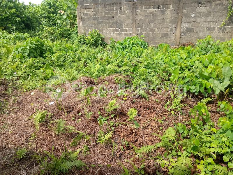 Land for sale Okokomaiko Ojo Lagos