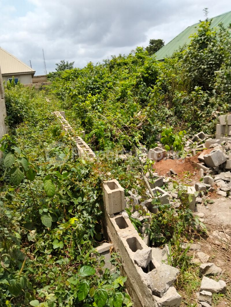 Land for sale Aiyetoro Close Ayobo Ipaja Lagos - 0