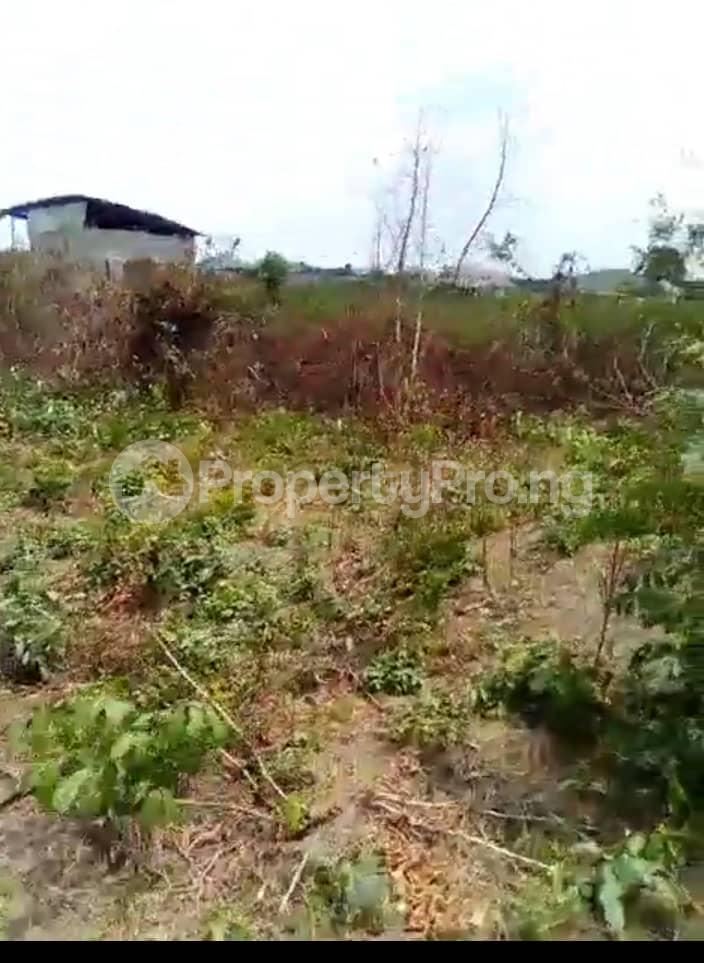 Land for sale Shasha Alimosho Lagos