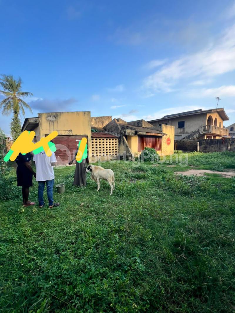 Land for sale Odubanwo, Olaniyi New oko oba Abule Egba Lagos