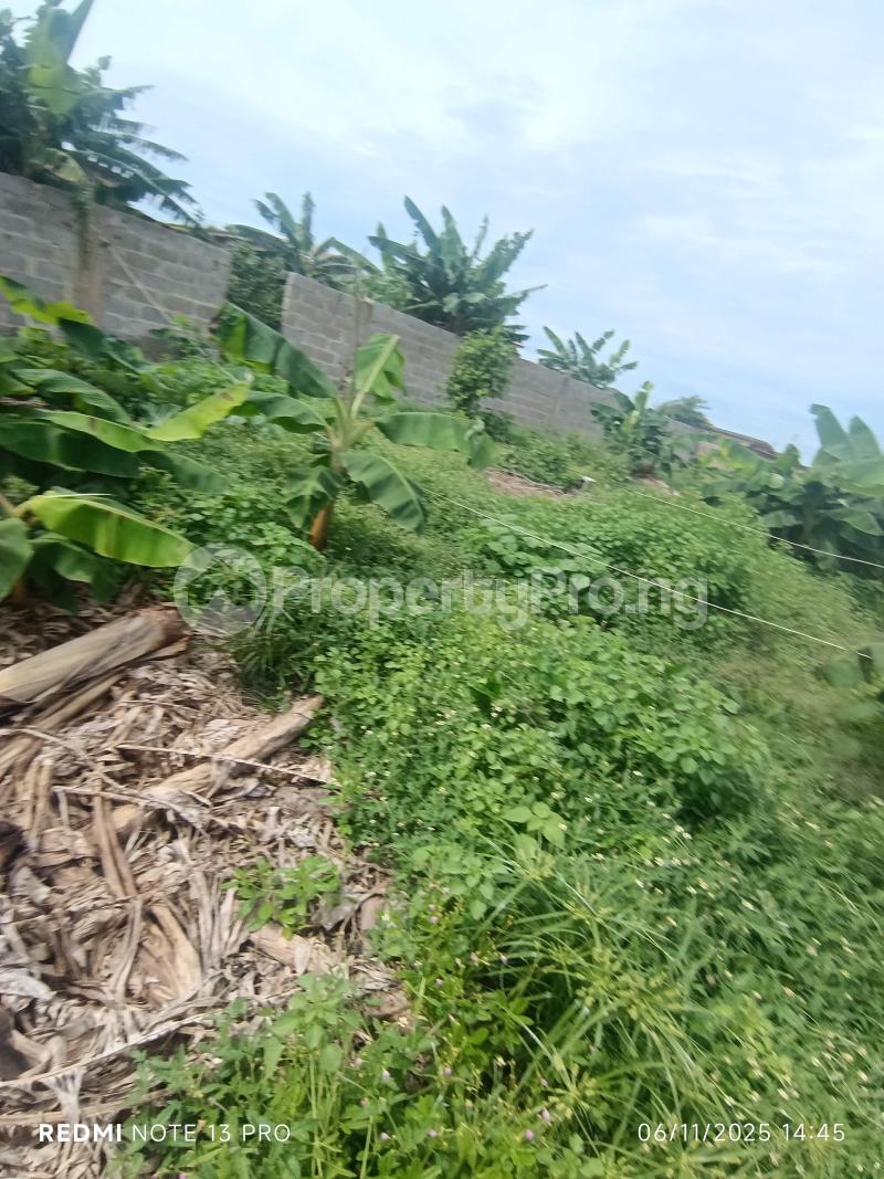 Land for sale Ayobo Ipaja Lagos
