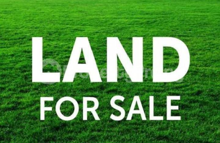 Land for sale Ojuelegba Road Ojuelegba Surulere Lagos