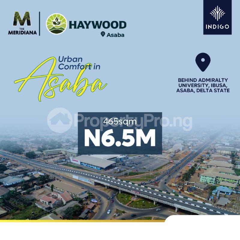 Land for sale Admiralty University Asaba Delta - 0