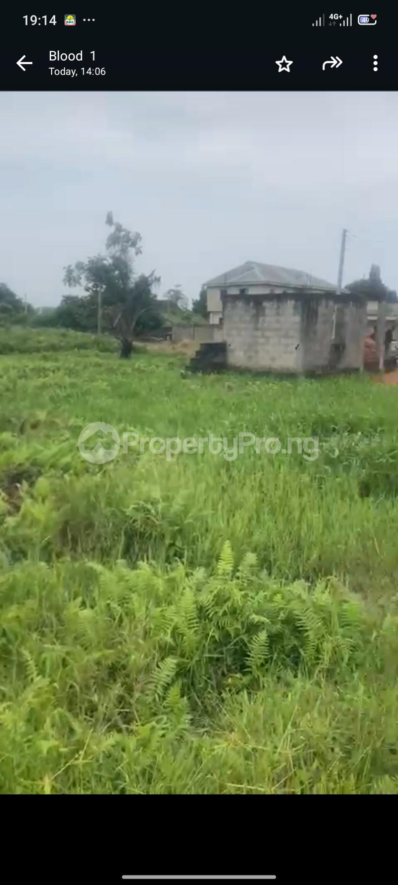Land for sale Ijegun Ikotun/Igando Lagos