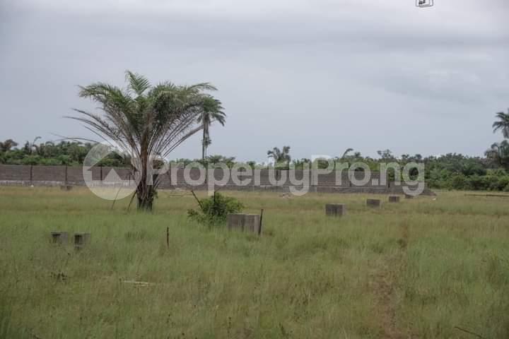 Land for sale Mojoda Village Epe Road Epe Lagos