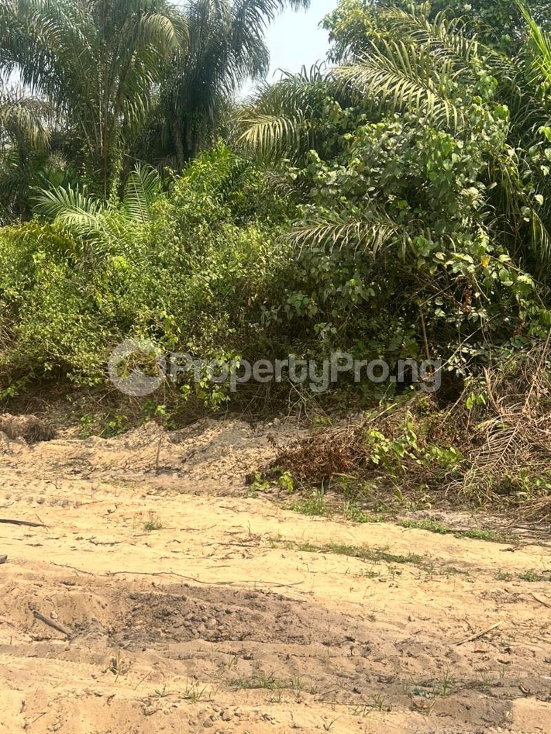 Land for sale Lekki Epe, Airport Road Epe Lagos